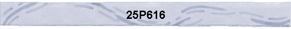 25P616